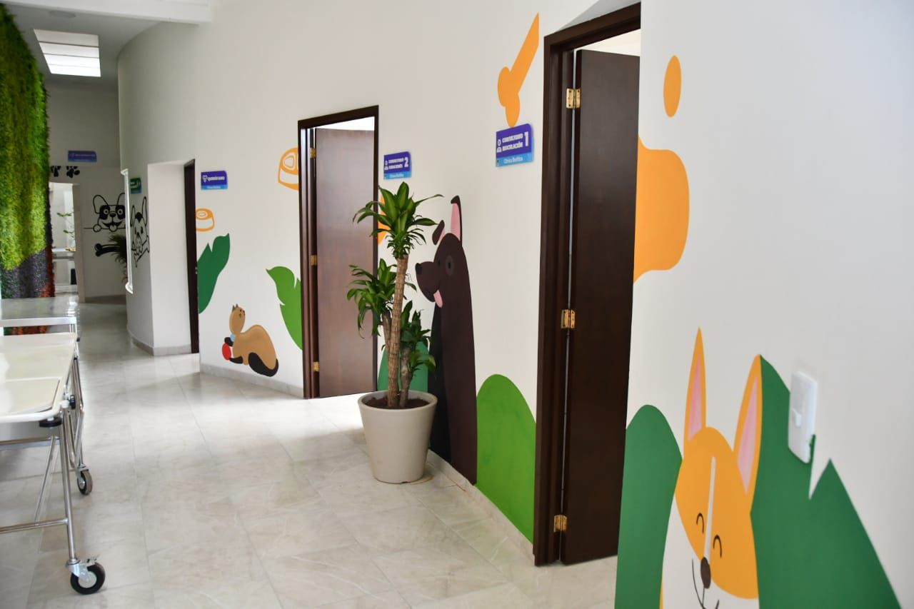 Invita gobierno de Huamantla a ser parte de la Clínica Biofílica Canina y Felina